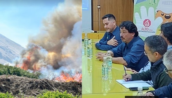 CONAF alerta sobre explosivo aumento de incendios forestales en la Región