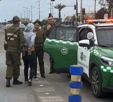 Alguien te mira: Cámara de Televigilancia delató a ladrona de batería 