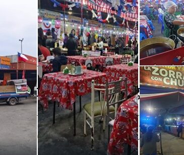 En Arica no les fue bien a los ramaderos y dicen que “lo sospecharon desde un principio”