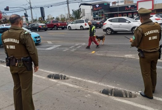 Sujeto atacó con boleadora y con sus perros a gestores municipales de Arica