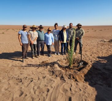 Nuevas perspectivas para el paisaje agrícola del norte de Chile