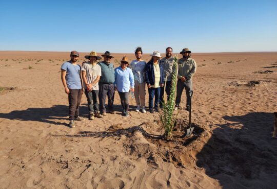 Nuevas perspectivas para el paisaje agrícola del norte de Chile