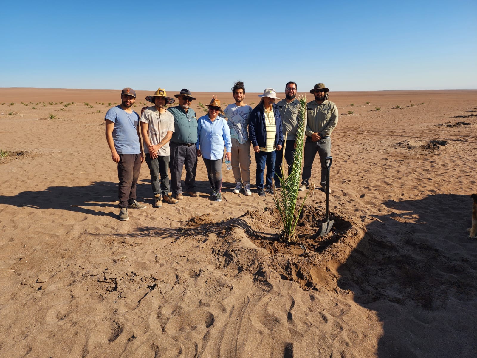 Nuevas perspectivas para el paisaje agrícola del norte de Chile