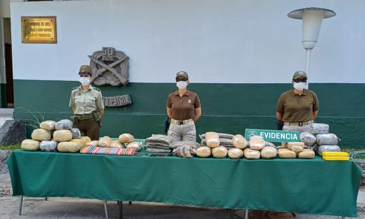 Avión Vigía es el terror de los burreros que trafican droga en la frontera