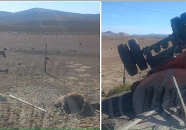 Un herido y diez caballos muertos deja volcamiento en plena pampa