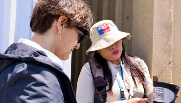 Ministra Aguilera anunció Alerta Sanitaria por Aedes Aegypti en Arica hasta junio del 2025