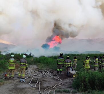 Dantesco incendio en Lluta destruyó un kilómetro y medio del valle