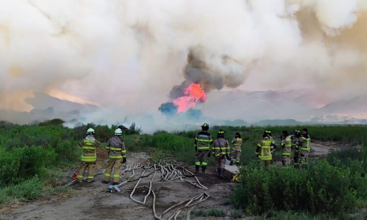 Dantesco incendio en Lluta destruyó un kilómetro y medio del valle