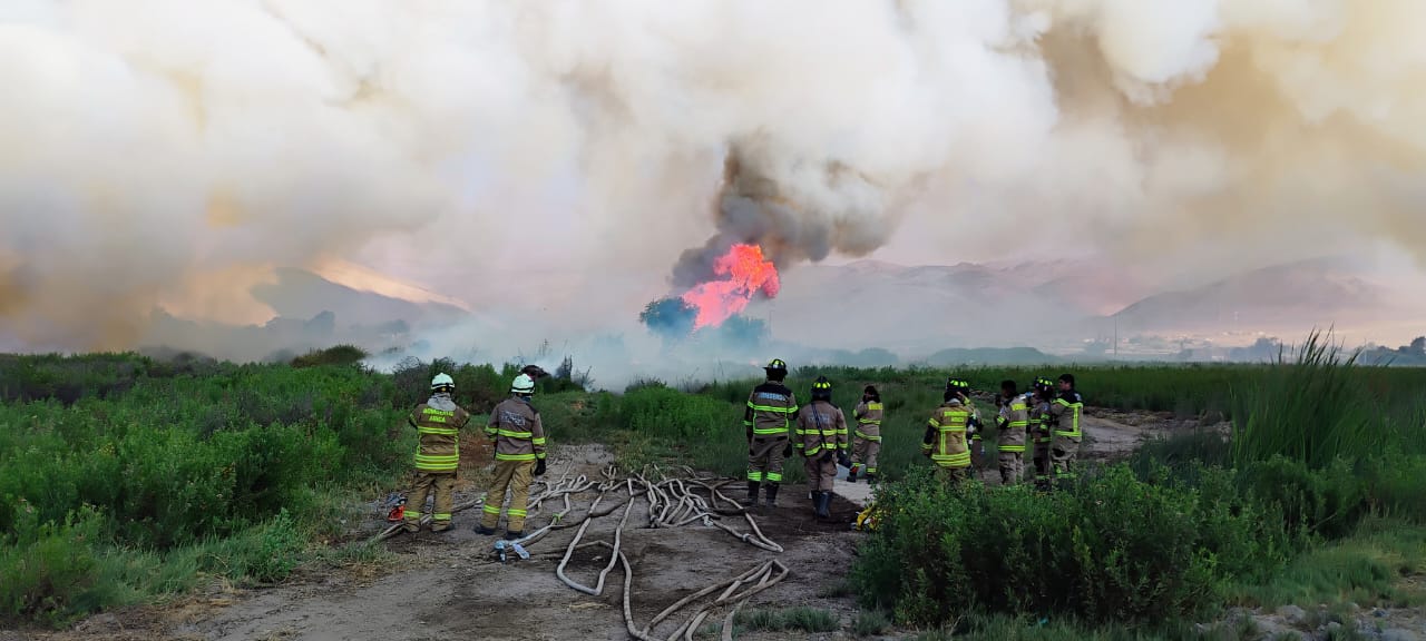 Dantesco incendio en Lluta destruyó un kilómetro y medio del valle