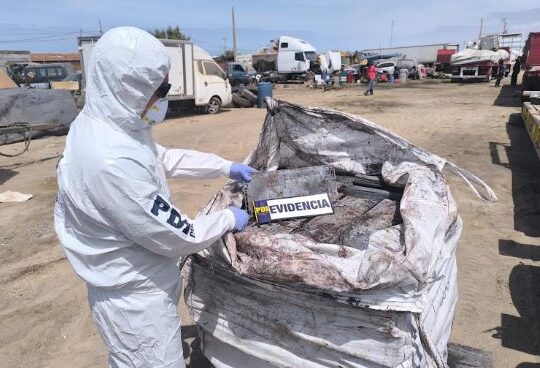 PDI incautó más de 50 toneladas de residuos peligrosos en sector norte de Arica