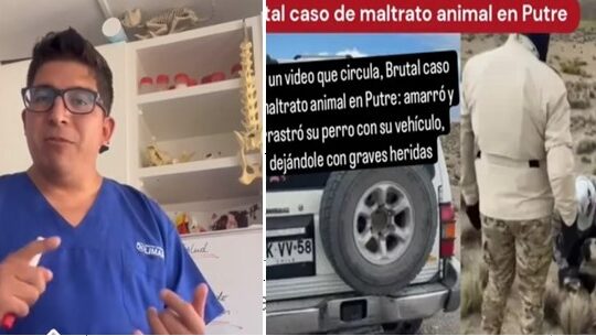 Colegio de Veterinarios de Arica denuncia brutal maltrato animal en Putre
