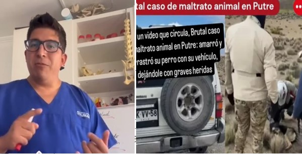 Colegio de Veterinarios de Arica denuncia brutal maltrato animal en Putre