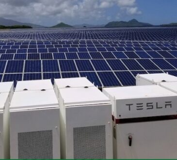 Inician en Camarones proyecto Celda Solar con inversión de 260 millones de dólares