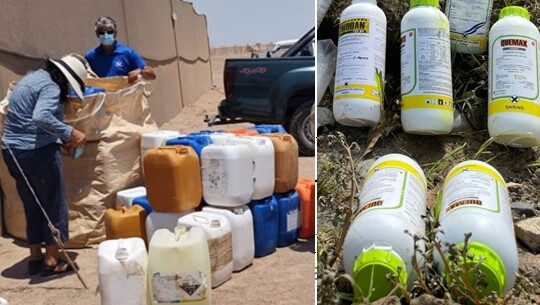 Llaman a agricultores a reciclar envases de pesticidas para evitar contaminación