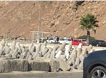 Una joven aun no identificada se lanzó desde el Morro con su mascota