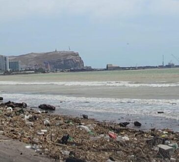 Seremi de Salud decretó cierre de playa Chinchorro por presencia de coliformes fecales