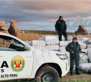 Abandonaron en el Hito 75 frontera con Chile contrabando por 175 mil dólares