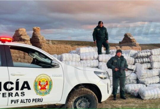 Abandonaron en el Hito 75 frontera con Chile contrabando por 175 mil dólares
