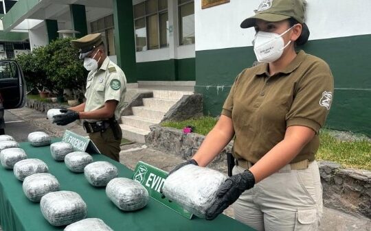 Marihuana boliviana por 350 millones interceptó OS7 en control carretero en Arica