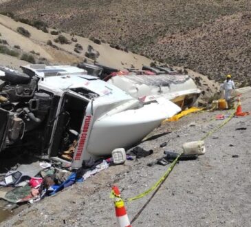 Camión derramó 10 mil litros de petróleo en el Parque Lauca: Chofer boliviano conducía ebrio