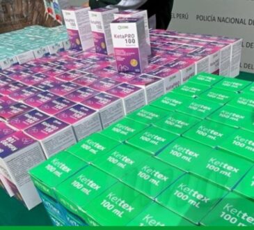 Interceptaron en Tacna cargamento de un millón de dólares en Ketamina con destino a Arica