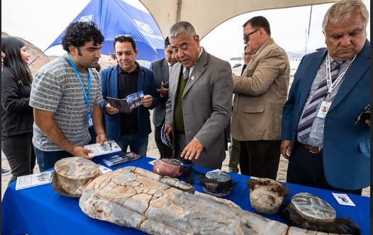 “Todos somos Chinchorro” la frase del lanzamiento del Mes de los Patrimonios en Arica