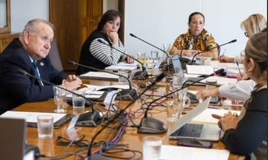 Rebajarán hasta un 50 % arriendos fiscales para agricultores de Arica y Parinacota