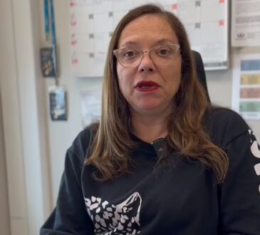 Fiscalía de Arica formalizó a conductor que causó atropello en concierto de los Cuatro Cuartos