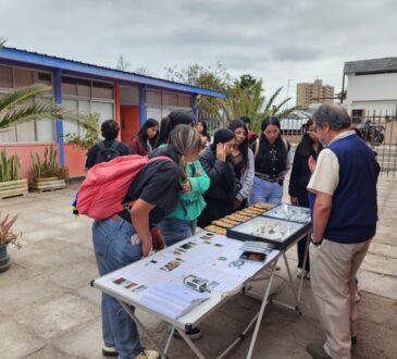 Proyecto Xerojardinería de la UNAP enseña a estudiantes el valor de las plantas nativas