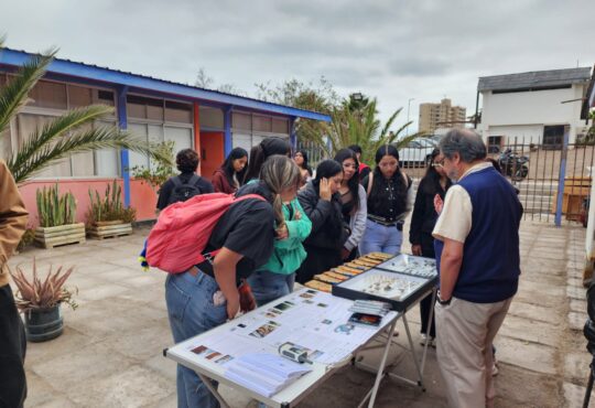 Proyecto Xerojardinería de la UNAP enseña a estudiantes el valor de las plantas nativas