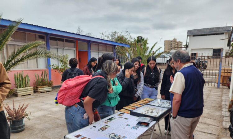 Proyecto Xerojardinería de la UNAP enseña a estudiantes el valor de las plantas nativas