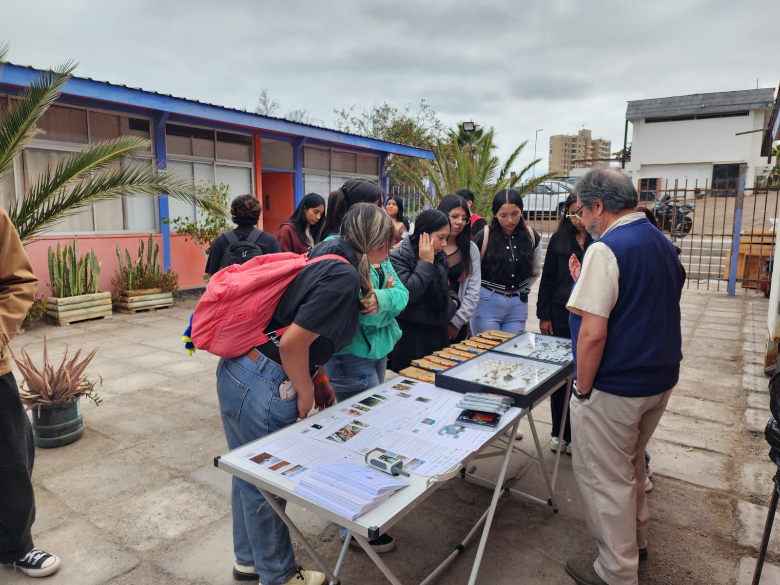 Proyecto Xerojardinería de la UNAP enseña a estudiantes el valor de las plantas nativas