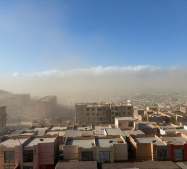 Vientos de 50 km/h provocan estragos en Arica: Senapred evalúa daños
