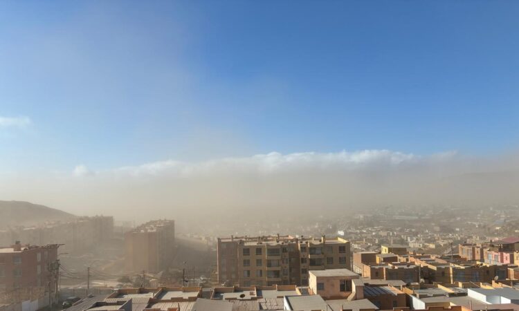 Vientos de 50 km/h provocan estragos en Arica: Senapred evalúa daños