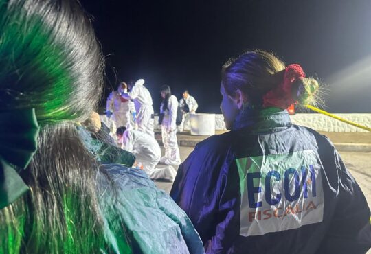 Homicidio de un extranjero en el sector Humedal de Arica