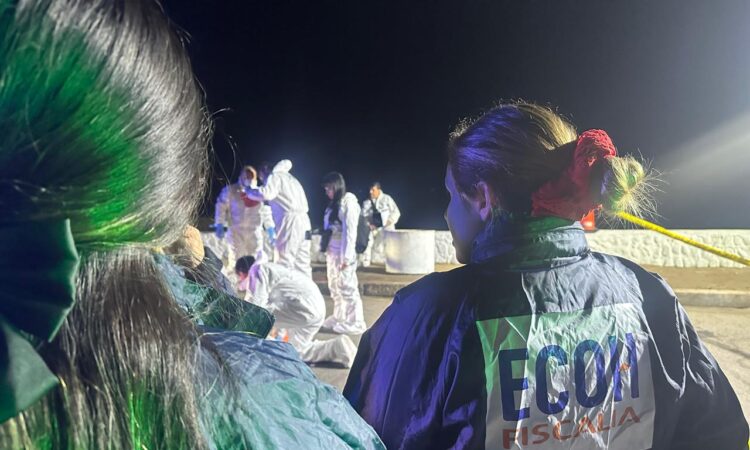 Homicidio de un extranjero en el sector Humedal de Arica