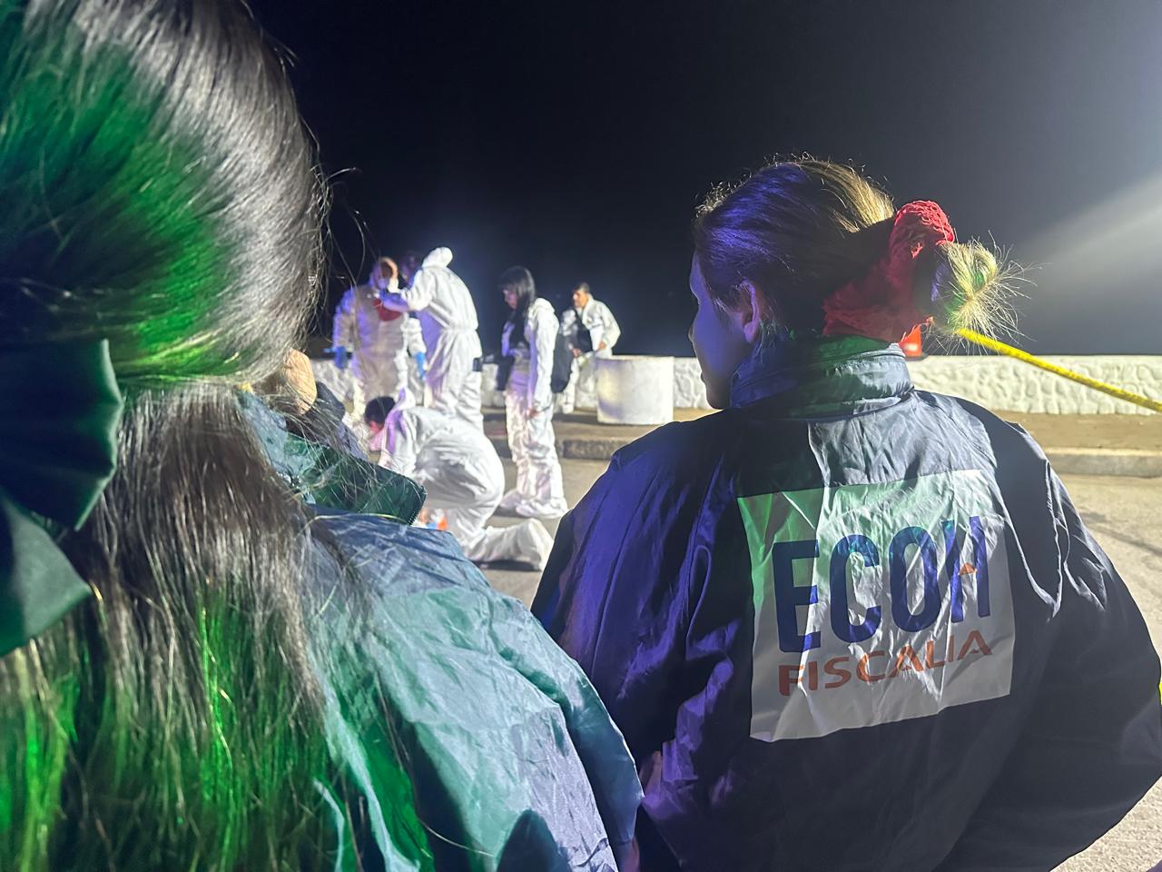 Homicidio de un extranjero en el sector Humedal de Arica