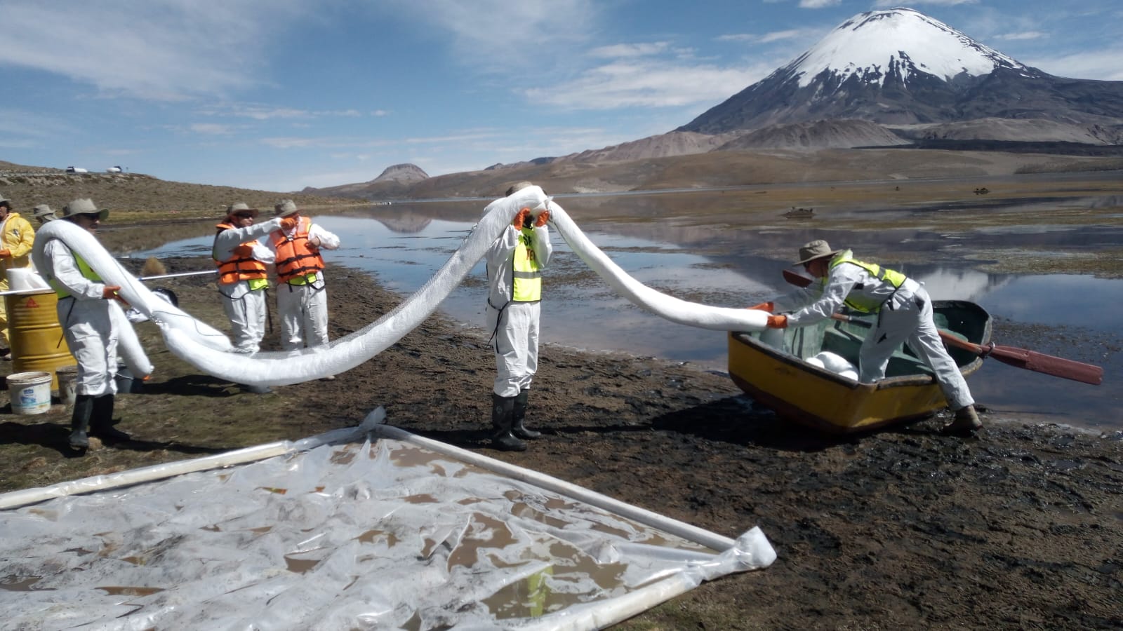 Compromiso con la fauna y flora gravemente amenazadas en el Lago Chungará