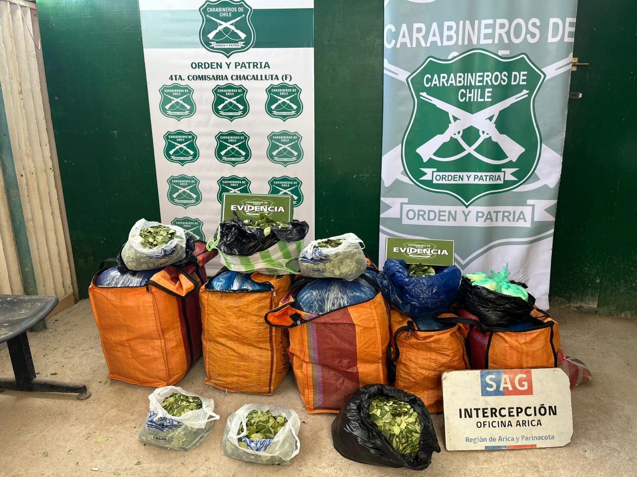 Tres bolivianas detenidas con cargamento de hojas de coca en la frontera