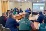 Detección de influenza aviar en Arica pone en alerta a la región
