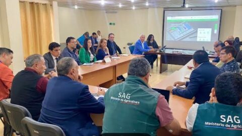 Detección de influenza aviar en Arica pone en alerta a la región