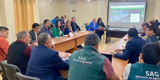 Detección de influenza aviar en Arica pone en alerta a la región