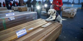 Operativo record: 108 toneladas de cocaína y ketamina en madera boliviana que embarcaban en Arica