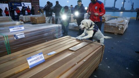 Operativo record: 108 toneladas de cocaína y ketamina en madera boliviana que embarcaban en Arica