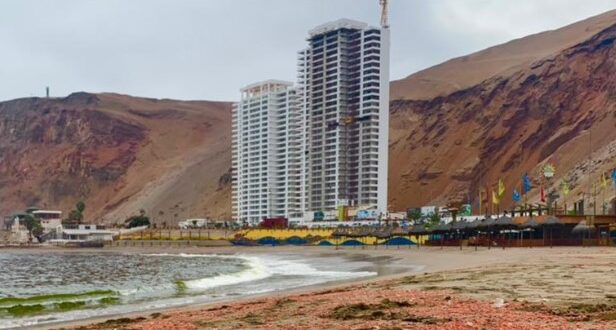 Corte de Arica admitió recurso de protección del Condominio Ayllú por incivilidades en la Costanera