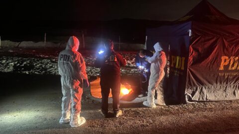 Banda asaltó y asesinó a camionero boliviano en el valle de Lluta