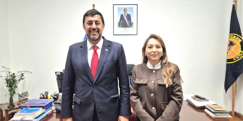 Ministerio designó a Beatriz Chávez como nueva seremi de Salud en Arica y Parinacota
