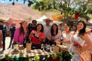 Día del Vino en Codpa: Fácil llegar pero muy difícil volver