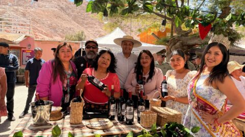 Día del Vino en Codpa: Fácil llegar pero muy difícil volver