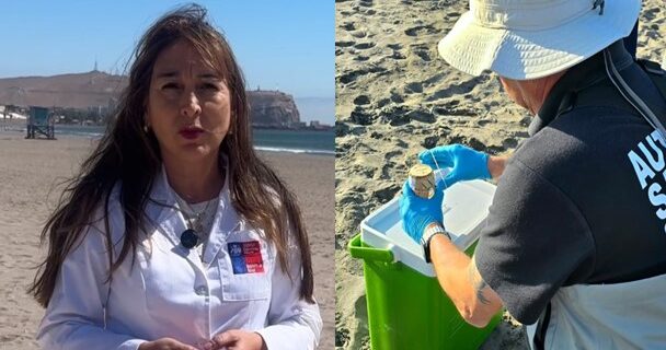 Seremi de Salud: No hay contaminación en playas Las Machas y Chinchorro